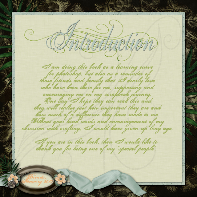 introduction_page_copy