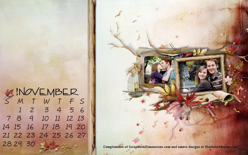 SDMag_Nov10_Wallpaper_ws_cal_pic_web
